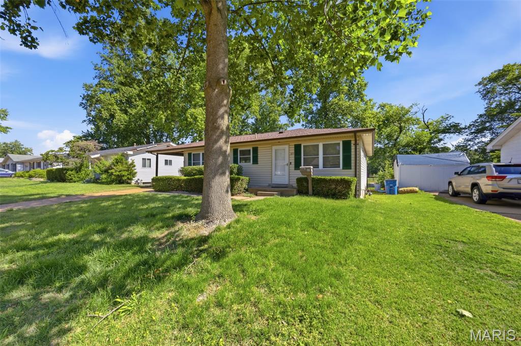 Whitecliffe Park 1 - Residential