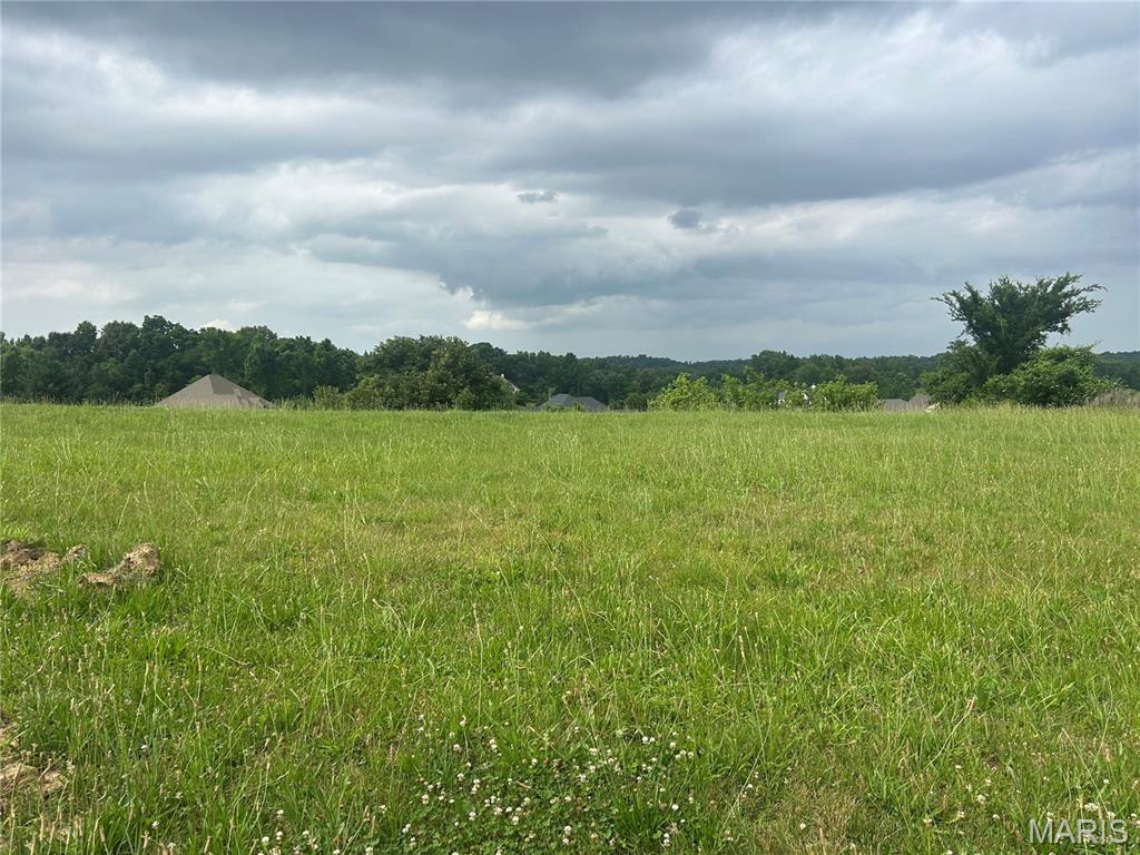 Rare opportunity to build your dream home on a beautiful 0.75 acre lot overlooking the Dalhousie Golf Course. This flat homesite offers an ideal setting with a peaceful golf course view and excellent potential for a walkout basement design. Conveniently located and ready for your vision. Buy and build here and you can just love this beautiful neighborhood or discover the possibilities of challenging golf and fun social events that come with Dalhousie Club membership!