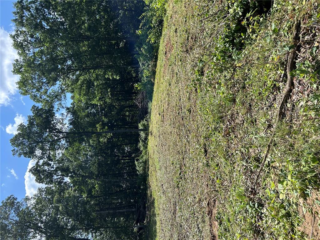 Pine Bluffs Estates - Land