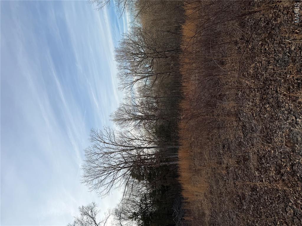 Pine Bluffs Estates - Land