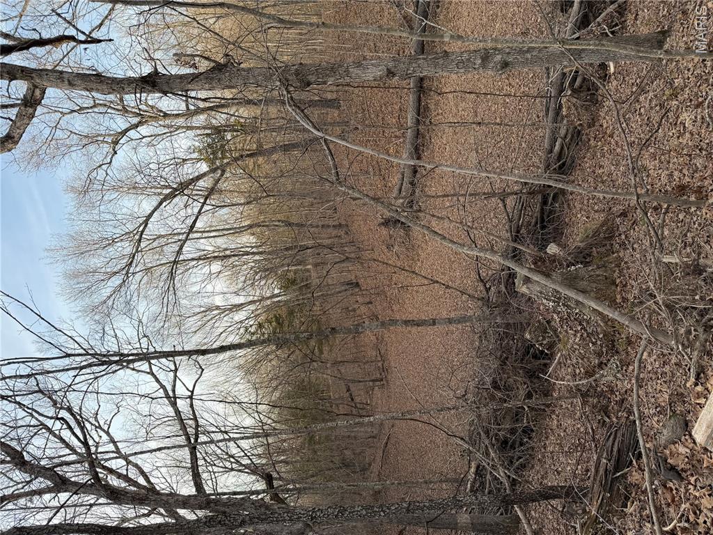 Pine Bluffs Estates - Land