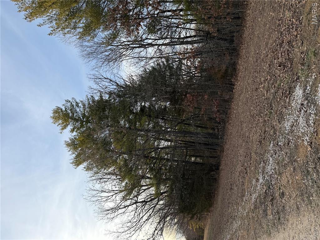 Pine Bluffs Estates - Land