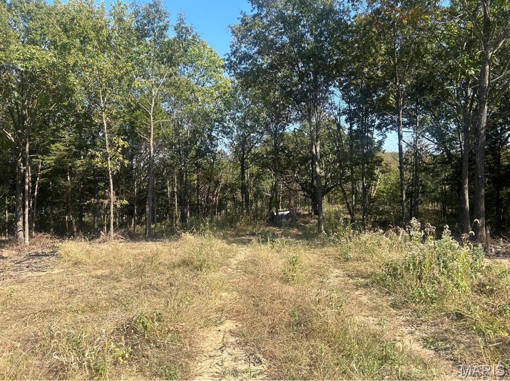Gorgeous setting in The Estates at Schaper Farms! This 3.60-acre walk-out lot on a cul-de-sac is one of a kind in this subdivision. This home will have approximately a 300 ft private driveway leading to the homesite which is nestled by trees and natural beauty for a peaceful retreat. The ultimate private lot within the subdivision. Enjoy the charm of country living with the convenience of nearby dining, shopping, highways and city maintained streets. Bring your own floor plans, use one of our current floor plans, or work with our architect to design a custom home. This is a stunning lot ready for your vision! Additional Rooms: In Platted Subdv.