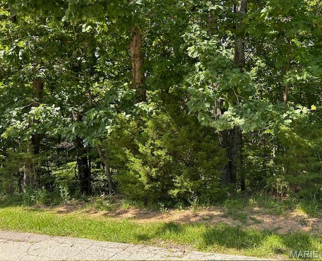 3+- acre lot located in Paradise Valley subdivision - Rockwood School District, minutes from I-270 and I-44! Bring your own plans.  Some building restrictions apply.