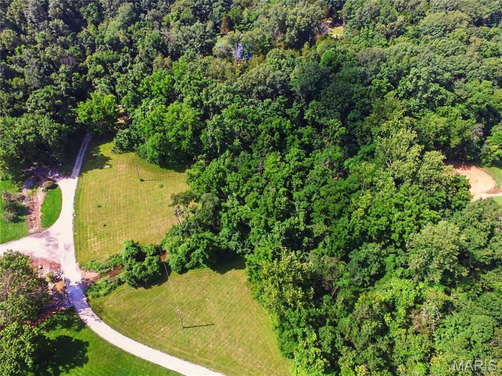 TREE TOP - Residential