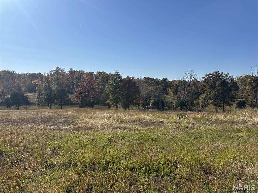 Saddlebrooke Ridge - Land