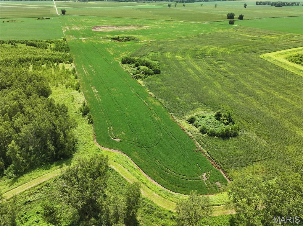 N/A - Farm