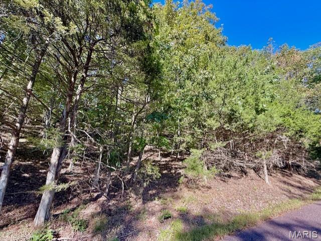 Lake Sherwood Estates - Land