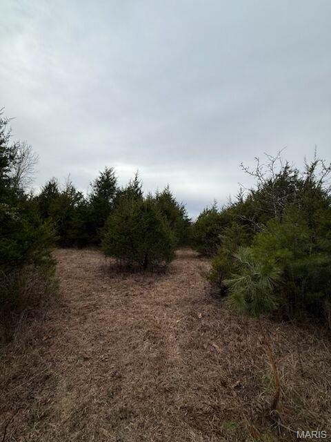 Here's your chance to build your dream home on 13 acres m/l. Very private. Property has home on it that is not livable. Outbuilding and plenty of trees surrounding property.