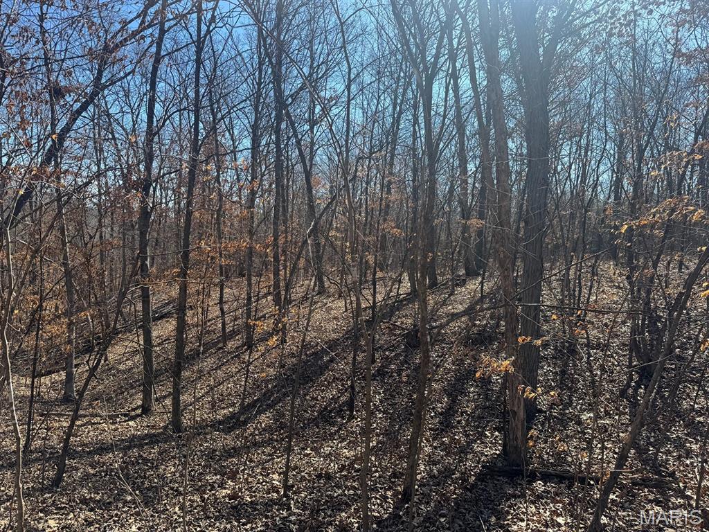This 5± acre tract is located near Mark Twain Lake and offers a solid mix of open ground and woods. The layout offers several good building spots, whether you’re planning a full-time home or a weekend getaway.  The open areas work well for a home site, shop, or food plot, while the wooded portion adds privacy and a nice setting. It’s the kind of property that fits a lot of uses—build now, hold for the future, or enjoy it as a quiet retreat close to the lake.  Additional acreage is available.