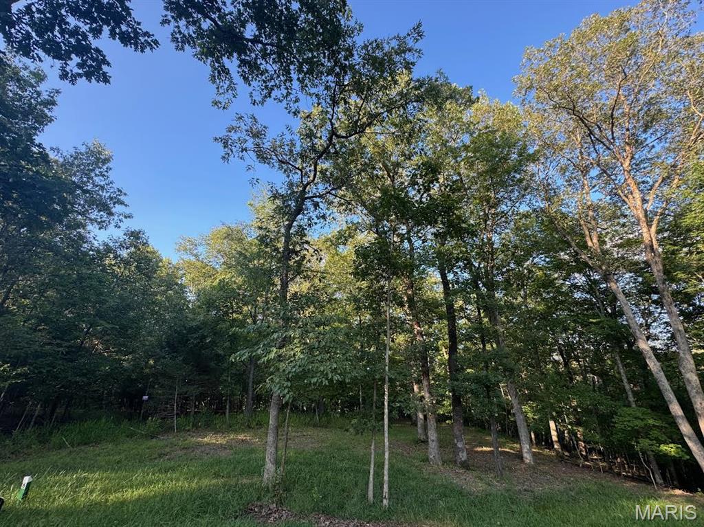 Great home site in a rural setting.