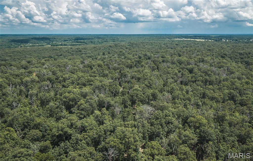 40 m/l acre tract located in Camden County. This tract has mature, old growth ,marketable timber. Great deer and turkey hunting.  Close proximity to the little Niangua creek and Lake Of the Ozarks for great fishing and recreation. An access road is being put in the center between the tracts and will have an electric access easement in place along it. More tracts available. Tracts to be surveyed. Owner will entertain selling other options.
