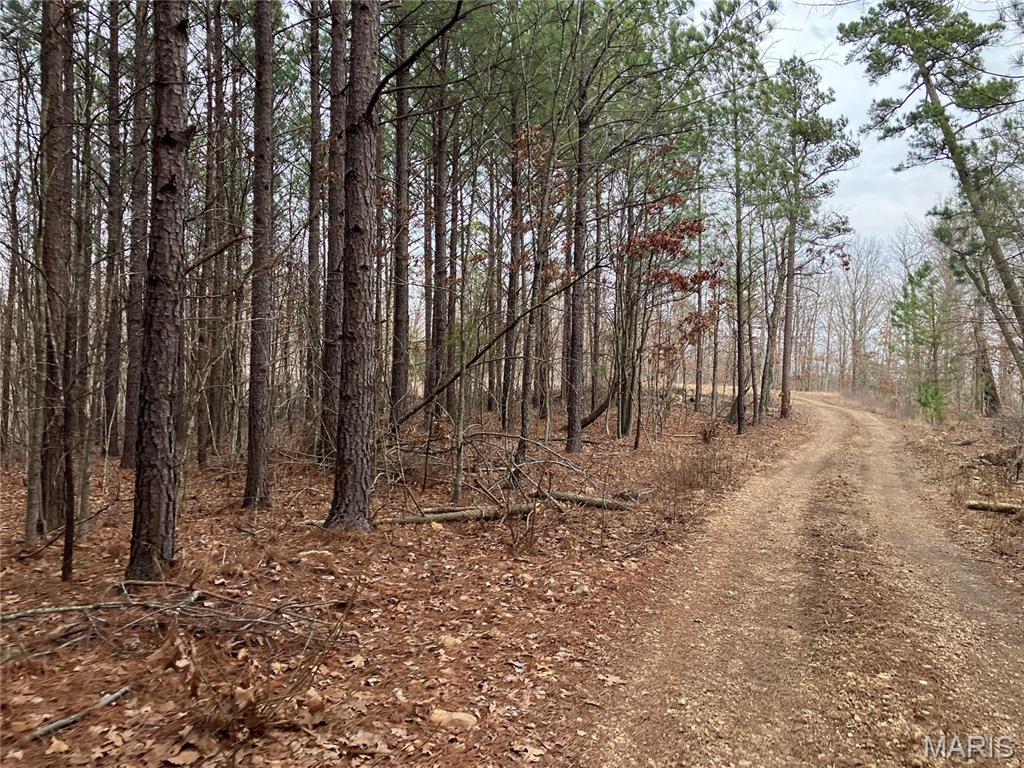 This ridgetop Ozark hideaway sits within about a mile of Mark Twain National Forest. 
The wooded property comes with NO restrictions, and there's a nice deeded easement road leading from the county road to the property.
Hunt, camp, build, ride ATVs on your own land, or fish or play in the nearby 12 Mile Creek ... endless opportunities. There's already a nice level camp or cabin spot cleared and ready.
Otherwise, this property is wooded and rolling. You are within a mile of the 22,176-acre Mark Twain National Forest ... public ground where you can also hunt, ride and explore. All this, and only about 2 miles by road from U.S. 67.
Use this wooded, secluded property as a base camp for adventure. This and surrounding land is teeming with deer, turkey and small game, and the occasional feral hog or maybe a black bear.
There is additional acres available which adjoin this piece if interested.