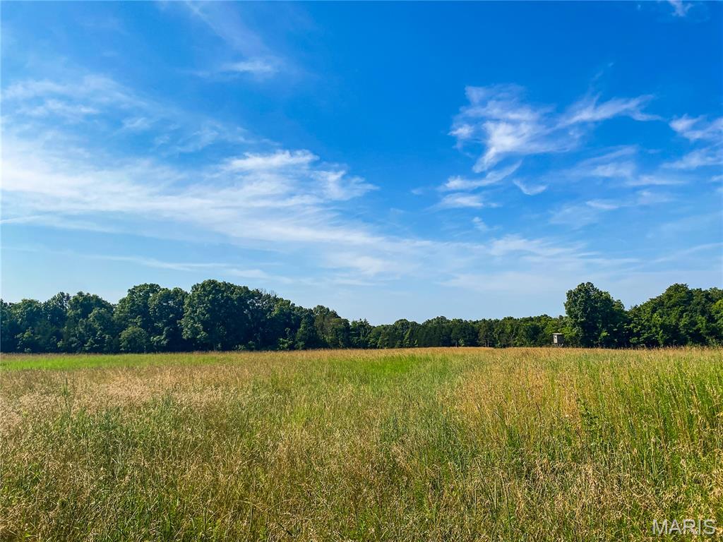 FORISTELL EXIT...10 OPEN AND WOODED ACRES, lays great with plenty of road frontage & potential pond sites in Springview Farms! With 4 gently rolling open acres in the front backing to approximately 6 wooded acres, you have options to build in the woods or in the open. Located between Foristell and Marthasville, the location is perfect for those looking to get away from the hustle and bustle of city yet not too far from civilization for shopping, dining and wineries. Protective covenants and restrictions in place to preserve the property values and natural harmony of the area. Easy drive to Wentzville, Marthasville or Washington. Agent Owned