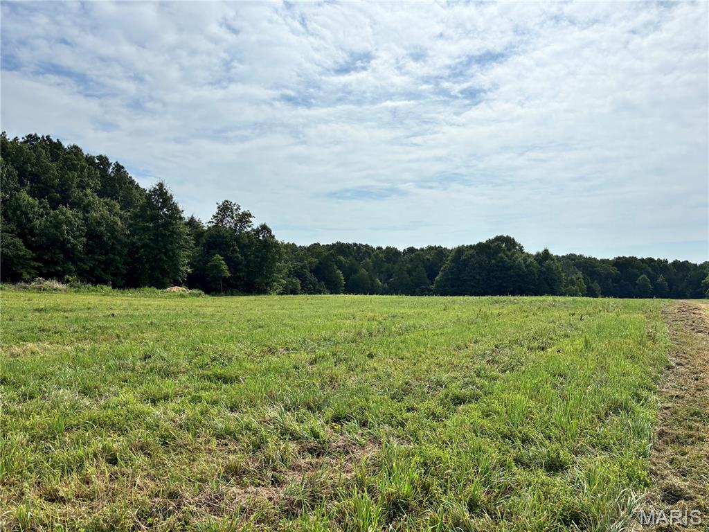 Springview Farms - Farm