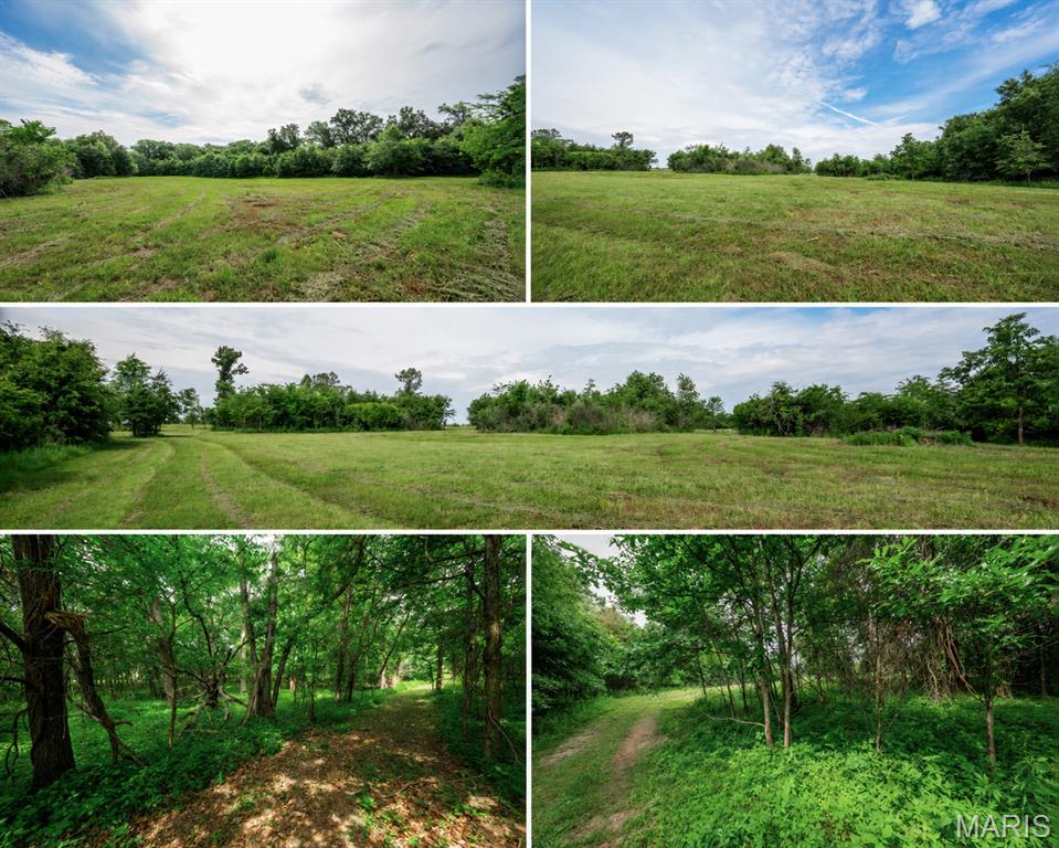 These Mark Twain Lake acreage lots are located along the sought-after Route J corridor! The Halyon Estates 3-5 acre building lots are ready to go, with water, electric, and internet already available at the roadside. With no restrictions, this acreage is perfect for campers, with the option to transition into a permanent structure in the future. All lots are also ready to build on for an established country residence.

The original 109-acre generational farm was owned by the Baumgartners, two retired school teachers who spent their time enjoying this family heritage. They grew wildflowers and simply loved being on the farm, reading books and appreciating the beauty around them. They knew this was a special place with creeks, ponds, grassland, woods, and abundant wildlife.

Each tract has been thoughtfully divided to provide both privacy and diversity, featuring gentle rolling hills that transition into level areas suitable for a variety of future home plans.

This farm has the unique privilege of backing up to 113 acres of Corps of Engineers land. Halyon Estates features two private parking areas at the ends of subdivision roads where the property borders the Corps land, providing owners convenient access to enjoy hiking, mushroom & deer hunting, wildlife viewing, and exploring the surrounding natural landscape.

One of the main attractions of the area is Mark Twain Lake, with three boat ramps located within minutes of the subdivision, providing quick and easy access to the water. The lake offers an abundance of recreational opportunities, including boating, fishing, sand beaches, and a hidden gem—a waterpark.