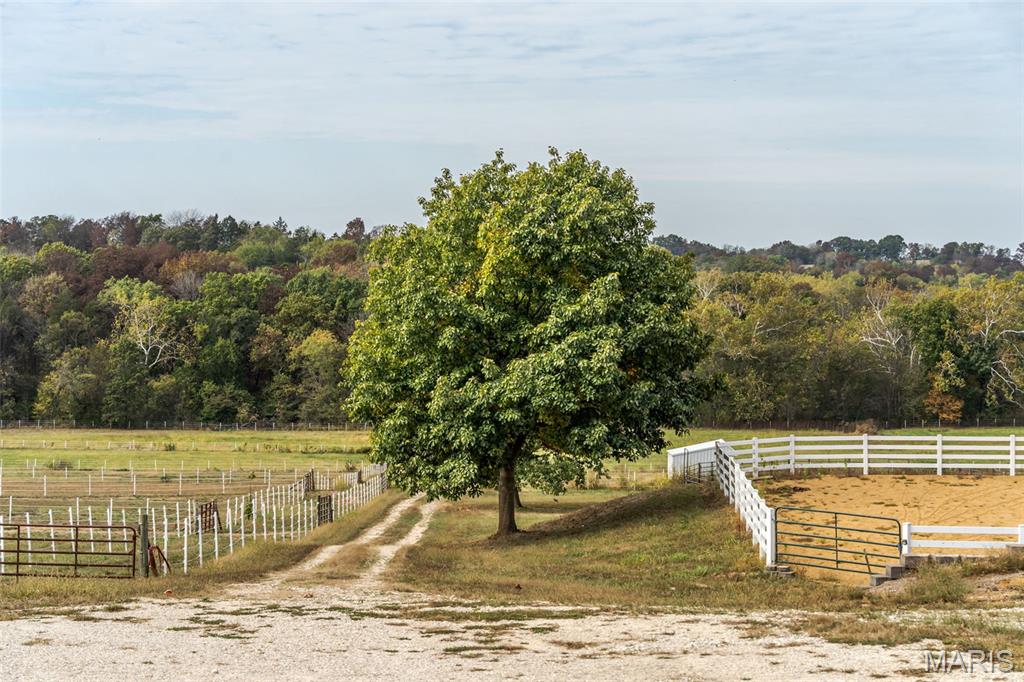 River Oaks - Farm