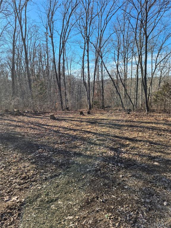 5+ ACRES!!! Nice piece of land in small subdivision in Desoto. Buy this piece of land and build your beautiful new home!  Will need a septic system and drain field, plus a well.