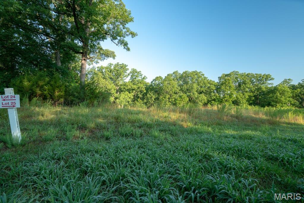 This is your opportunity to build your dream home in a truly picturesque setting! Beautifully landscaped entrance with the stone gatehouse and tranquil pond set the scene for one of the premier neighborhoods in West County!

Over 1 acre lot is set along the meandering streets with private, wooded lots and exquisite custom homes. This is a true retreat just minutes from the popular Chesterfield Valley. Bring your own plans and builder. All lots are also on public water and sewer ~ a bonus for the location and lot sizes! Additional Rooms: In Platted Subdv.