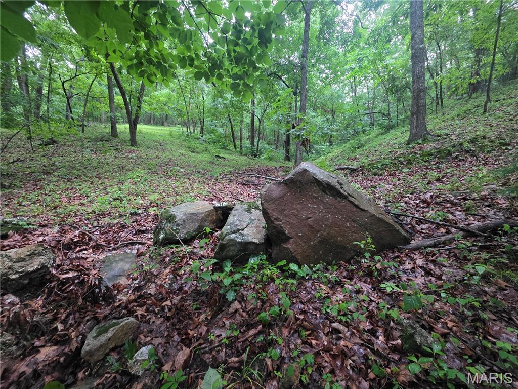 More pictures coming very soon!

Escape to the Ozarks: Your Ultimate Piece of Paradise!
The Gasconade River Valley 

The Property & Land: Features a Living Live-Water Stream
Discover the true meaning of "Ozark Paradise" with this exceptional acreage. Highlighted by a beautiful stream flowing directly through the property, this land offers unmatched natural beauty and utility. Whether you want to build a secluded dream cabin, establish an off-grid homestead, or secure a legacy hunting tract, this land is ready for your vision.


-On-Site Live Water: The stream running through the land provides a soothing natural soundtrack, a beautiful feature for a future homesite, and a critical, continuous water source for local wildlife.
-Mature Timber: The property boasts beautiful stands of mature timber, creating a stunning natural canopy, excellent thermal cover for wildlife, and immediate land value.
-Ultimate Privacy Nestled in a serene setting, you can escape the hustle and bustle and enjoy complete tranquility.

A Sportsman’s Dream: World-Class Hunting & Outdoors
If you are an outdoor enthusiast, this property is your gateway to standard-setting Ozark recreation.
- Premier Whitetail Hunting: The combination of mature timber, the internal stream for water, and natural topography creates a perfect sanctuary and travel corridor for whitetail deer and wild turkey.
-Basecamp for Adventure: Perfect for ATVs, hiking, camping, and creating a private shooting range. Hike along your own creek beds and explore the rugged beauty of your backyard.

Just Minutes from the Legendary Gasconade River
You are minutes away from one of the premier Ozark streams in the state. Renowned for its crystal-clear waters and exceptional fishing, the Gasconade River is a paradise for anglers and kayakers alike.


Launch your boat or kayak just down the road and cast your line for:
-Prized Bass: Exceptional Smallmouth Bass fishing (the true prize of the Gasconade) along with hard-hitting Largemouth Bass.
-Monster Catfish: Abundant Channel and Flathead catfish waiting in the deeper river pools.
-Panfish Galore: Action-packed fishing for Rock Bass (Goggle-eye), Longear Sunfish, and Bluegill.

Live water properties are the gold standard in the Ozarks.  Land featuring both an active internal stream and close proximity to the Gasconade River is highly sought after and rarely stays on the market long.