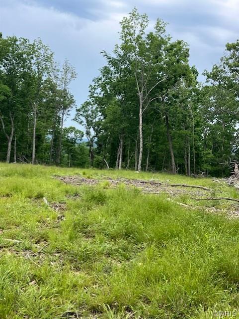 On the top of the ridge with a large amount of flat area, and a nice deeded gravel road access.
 This more than 5 acre ridgetop oasis comes with NO restrictions, and can be had for less than the price of a new truck or SUV. And has one of the best southwest facing view in the Ozarks.
Hunt, camp, build, ride ATVs on your own land, or fish or play in nearby creeks ... endless opportunities.
This property is wooded and rolling. You are within a mile of the 22,176-acre Mark Twain National Forest ... public ground where you can also hunt, ride and explore. All this, and only about 2 miles by road from U.S. 67.
Use this wooded, secluded property as a base camp for adventure or build your forever home and live out your days in secluded bliss. This and surrounding land is teeming with deer, turkey and small game, and the occasional feral hog or maybe a black bear.
There is additional acres available which adjoin this piece if interested.
