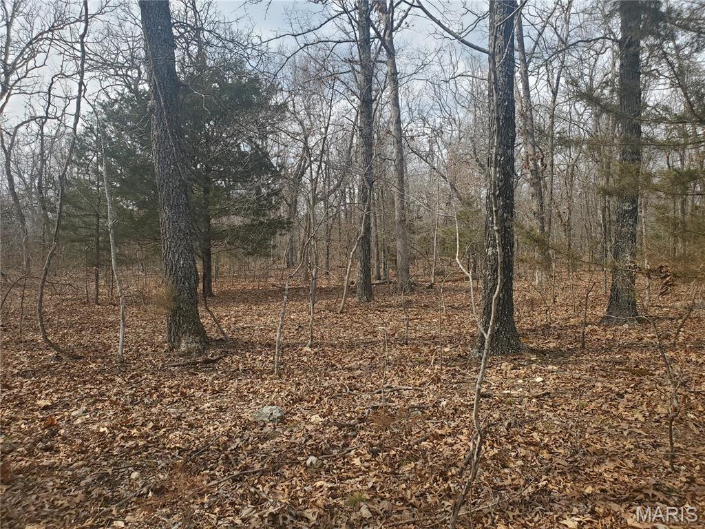 30.73 acre wooded tract in Pulaski County with highway frontage and convenient access. The property features trees, natural terrain, and wooded acreage suitable for a variety of permitted uses, including recreation, residential development, or agricultural use subject to local regulations. Located within a reasonable drive of Fort Leonard Wood and nearby services and amenities. Agent is the immediate family of the sellers-See the Relationship Disclosure.