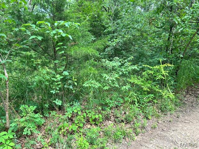 .23 acres all wooded with all utilities available. Hike , Fish , Swim or ride  your ATV. Close to several State Parks.
