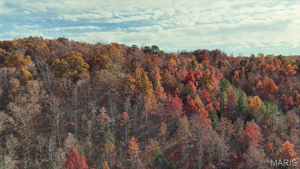 Seller financing available!
Discover the perfect blend of privacy, recreation, and natural beauty on this exceptional 41-acre tract nestled in the heart of the Missouri Ozarks. Whether you're looking for a peaceful homesite, a weekend getaway, or your own hunting retreat, this property offers endless possibilities.
Multiple potential build sites provide the ideal setting for a custom home, cabin, or barndominium surrounded by mature timber and scenic views. Established trails throughout the property make it easy to enjoy hiking, ATV riding, horseback riding, or simply exploring everything this beautiful land has to offer.
The property is home to abundant wildlife, making it an excellent destination for hunting deer, turkey, and other native game. Its secluded setting offers the peace and quiet you've been searching for while still providing convenient access to some of the area's best outdoor recreation.
Located just minutes from the Black River, you'll enjoy floating, fishing, kayaking, swimming, and more. You're also close to Sam A. Baker State Park, offering hiking trails, camping, horseback riding, and year-round opportunities to experience the beauty of the Ozarks.
Whether you're searching for a recreational getaway, a future homesite, or an investment in one of Missouri's most scenic regions, this 41-acre property is ready to make your vision a reality.