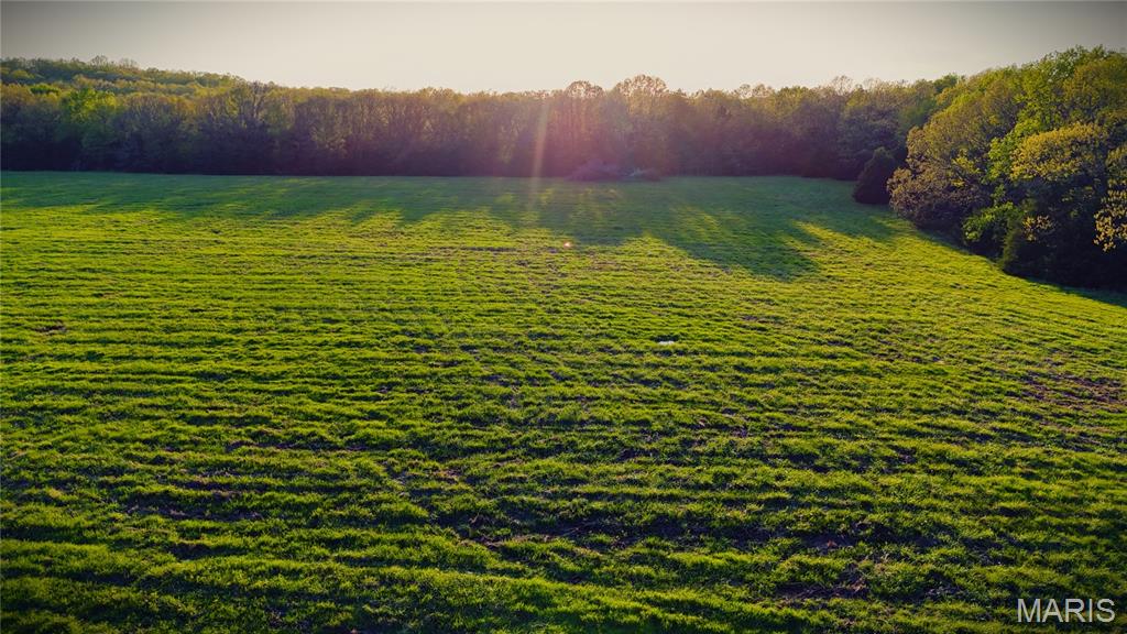 None - Farm