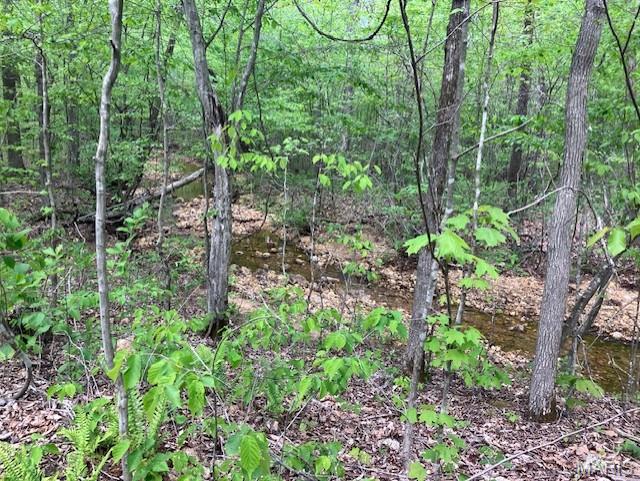 This 11.2 acres has deeded gravel road access, a small spring-fed stream running along one boundary, and sits only a few hundred yards from Mark Twain National Forest.
It's a hunting or homesteading paradise. Or use is simply as a great home or cabin or camping site.
You'll have a deeded access road to the property. This secluded valley oasis comes with NO restrictions.
Hunt, camp, build, ride ATVs on your own land, or just a short hike or drive and you'll be in the picturesque and pristine 22,176-acre section of Mark Twain National Forest ... public ground where you can also hunt, ride and explore. All this, and only about two miles a paved state road. 
Use this wooded, secluded property as a base camp for adventure or build your forever home and live out your days in secluded bliss. This and surrounding land is teeming with deer, turkey and small game, and the occasional feral hog or maybe a black bear. There is additional acres available which adjoin this piece if interested.
