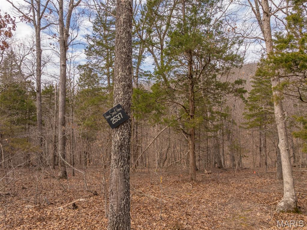 Discover the perfect canvas for your dream home at Innsbrook Resort. This remarkable homesite offers breathtaking natural beauty, offering lots of privacy, and a creek close to the address sign on the right with quick to the community Tyrolean nature hiking trail just beyond. Surrounded by mature woods and backing to common ground, this lot provides exceptional privacy while still offering easy access via a maintained blacktop road. The terrain is ideal for a walkout basement design, maximizing both views and living space. With no required building timeframe, you have the flexibility to build when the time is right—while still enjoying all the amenities the community has to offer. As part of Innsbrook, you’ll have access to premier amenities including an 18-hole championship golf course, clubhouse, dining, fitness center, swimming pools, and year-round events—offering the ideal blend of relaxation and recreation. Cottage lot-building guidelines apply. Additional rooms: In Platted Subdivision.