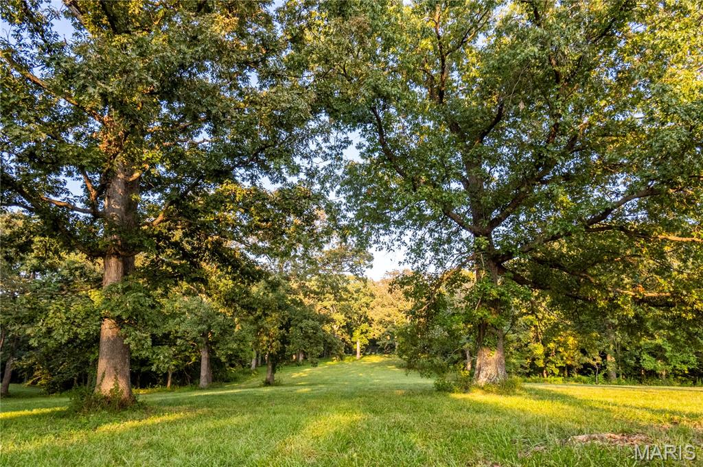 12 acres with underground electric and county water on site. This tract showcases mature trees, picturesque views, and exceptional wildlife...including turkey and trophy-size bucks. Deed restrictions prohibit hog-confinement buildings, mobile or modular homes, junkyards, ATV tracks or race tracks, and logging beyond what’s needed for homesites. Additional acreage is available for expansion. Don’t miss out on this rare opportunity to own a truly remarkable property. Agent Owned.