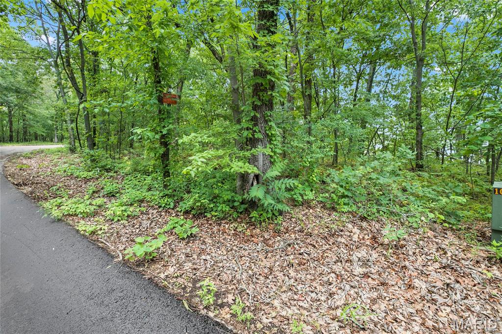 Words can't describe the beauty of this almost 9+ acres of ground with a view of the Mississippi River Valley and US Fish and Wildlife land from the back of your future building spot.  Large corner acres lot with over 1900' of road frontage. If your desire is tall mature trees you've found your home.  This area features large acreage lots with custom homes.   Bring your side by side or golf cart, or take a leisurely walk in the 2+ miles of roads throughout the neighborhood.  Minimum square footage is 2500 on main level for a ranch style home, three car side entry garage is required.  Lot may not be subdivided to keep the number of homes to a minimum on this 300+ acre neighborhood.  Protect your home value and build your dream home today.  Bring your own builder or inquire for pricing for your plan.
