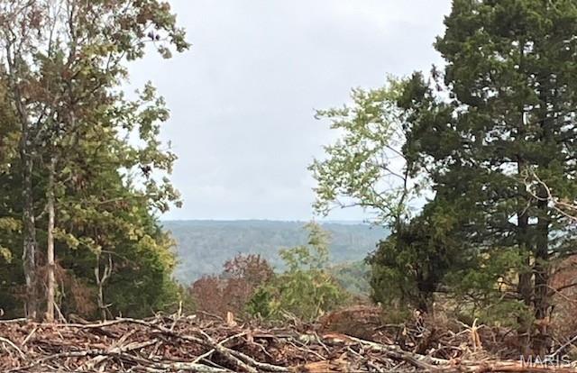 Wooded rural acreage with access to a shared spring-fed stream and within a mile of Mark Twain National Forest ... it doesn't get much better. It's a landowner's dream come true. 
This affordable Ozark oasis comes with NO restrictions. And there's a nice wide deeded easement gravel road leading from the county road to your property.
Hunt, camp, build, ride ATVs on your own land, or fish or play in the shared creek section. The opportunities are endless.
This property is wooded and rolling. You are within a mile of the 22,176-acre Mark Twain National Forest ... public ground where you can also hunt, ride and explore. All this, and only about 2 miles by road from U.S. 67 for quick and easy access.
Use this 140 acres as a base camp for adventure. This and surrounding land is teeming with deer, turkey and small game, and the occasional feral hog or maybe a black bear. 
Ownership comes with access to a 3-acre shared stretch of the magnificent 12 Mile Creek and gravel bar.