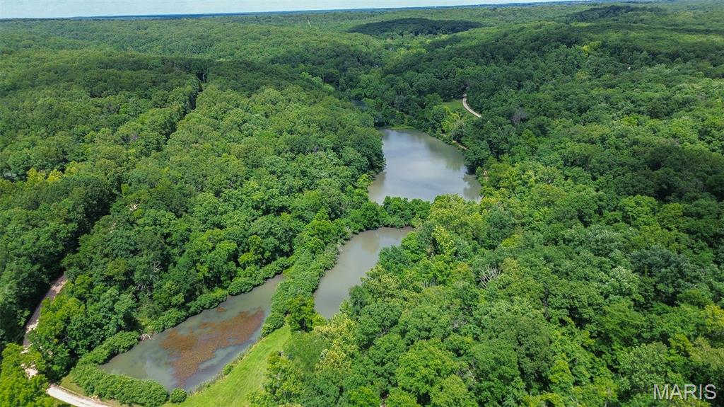 The Lakes at Elm Springs - Land