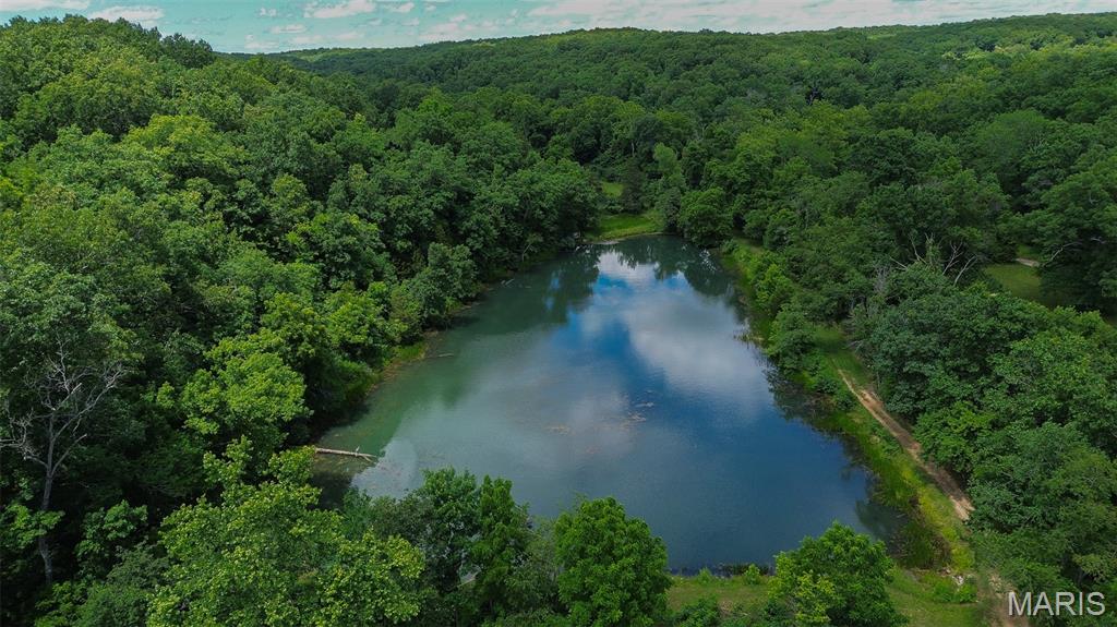 The Lakes at Elm Springs - Land