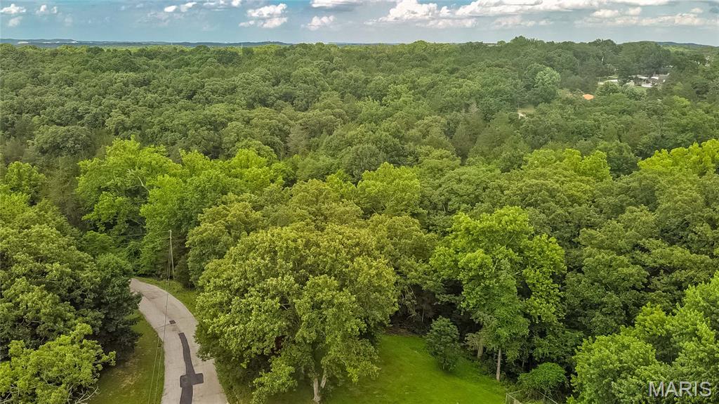 Dreaming of building your forever home? This stunning 4-acre wooded parcel in Festus offers the perfect blend of privacy, natural beauty, and convenience. Towering trees, gently rolling terrain, and picturesque surroundings create a breathtaking backdrop for your future home. Bring your builder, your plans, and your imagination! Just envision a custom home, outdoor living spaces, gardens, and whatever else you can dream up! Tucked away in a peaceful setting yet close to everyday amenities, this property offers the best of both worlds. Opportunities like this don't come around often. Come walk the property and start envisioning what's next!