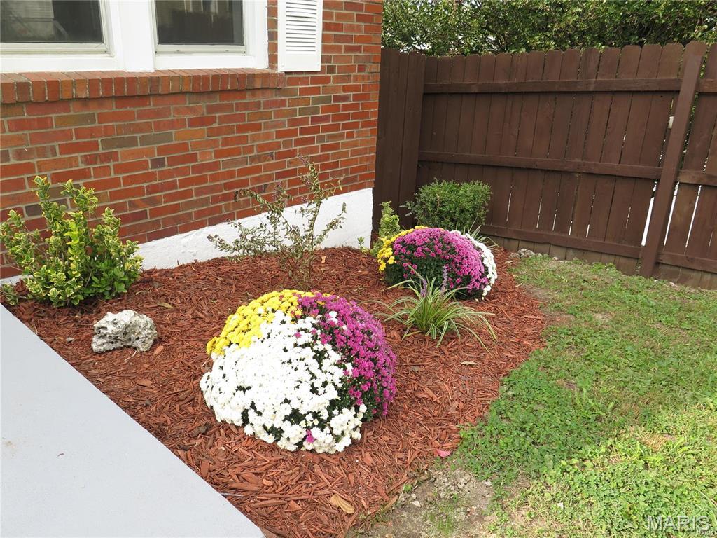 Olive Street Terrace - Residential Lease