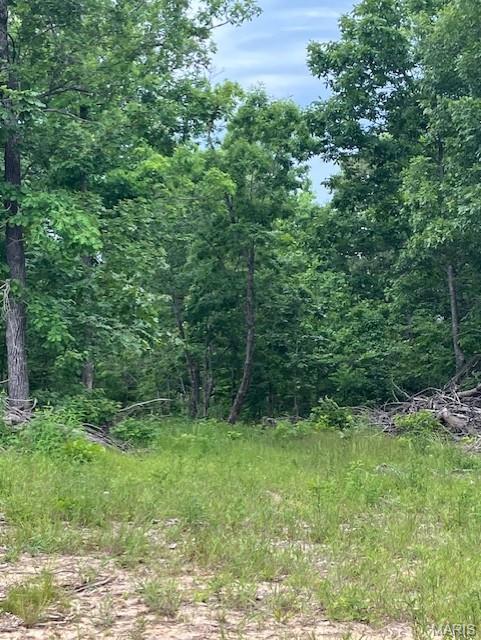 On the top of the ridge with a nice deeded gravel road access.
 This more than 10 acres comes with NO restrictions, and can be had for less than the price of a new truck or SUV. And has one of the best southwest facing view in the Ozarks.
Hunt, camp, build, ride ATVs on your own land, or fish or play in nearby creeks ... endless opportunities.
This property is wooded and rolling. You are within a mile of the 22,176-acre Mark Twain National Forest ... public ground where you can also hunt, ride and explore. All this, and only about 2 miles by road from U.S. 67.
Use this wooded, secluded property as a base camp for adventure or build your forever home and live out your days in secluded bliss. This and surrounding land is teeming with deer, turkey and small game, and the occasional feral hog or maybe a black bear.
There is additional acres available which adjoin this piece if interested.