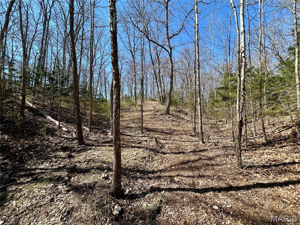 Spring Valley Estates - Land