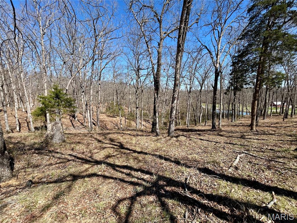 Spring Valley Estates - Land
