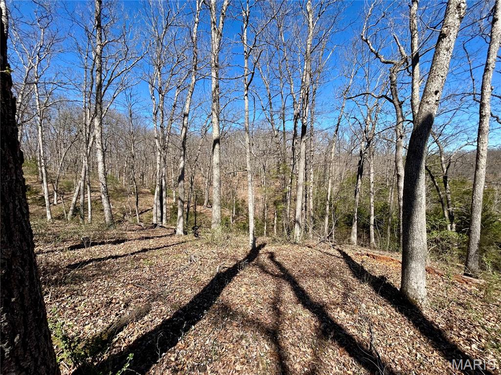 Spring Valley Estates - Land