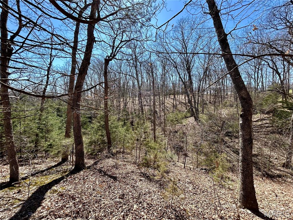 Spring Valley Estates - Land