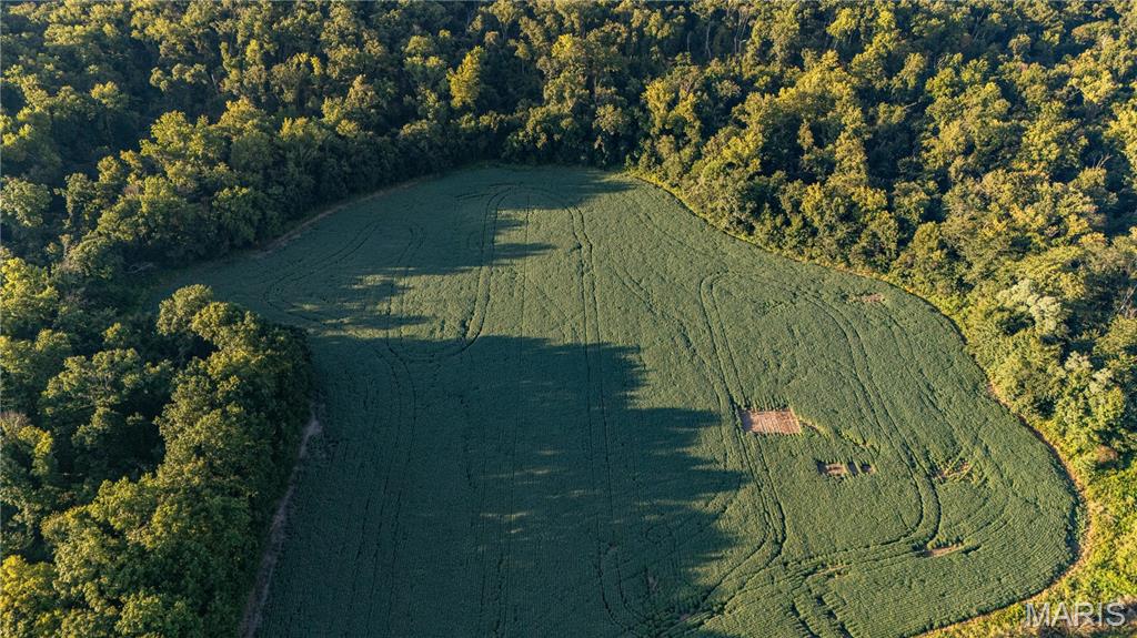 N/A - Farm