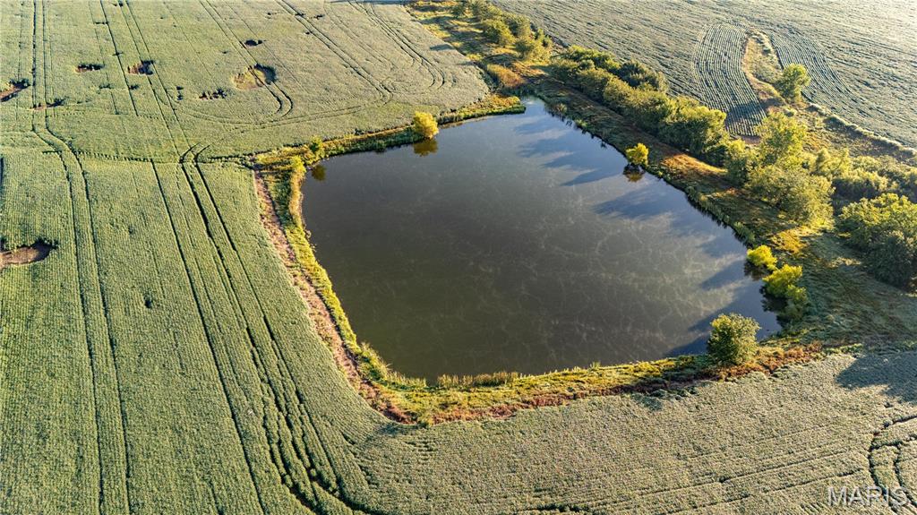 N/A - Farm
