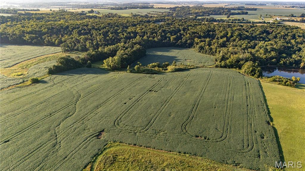 N/A - Farm