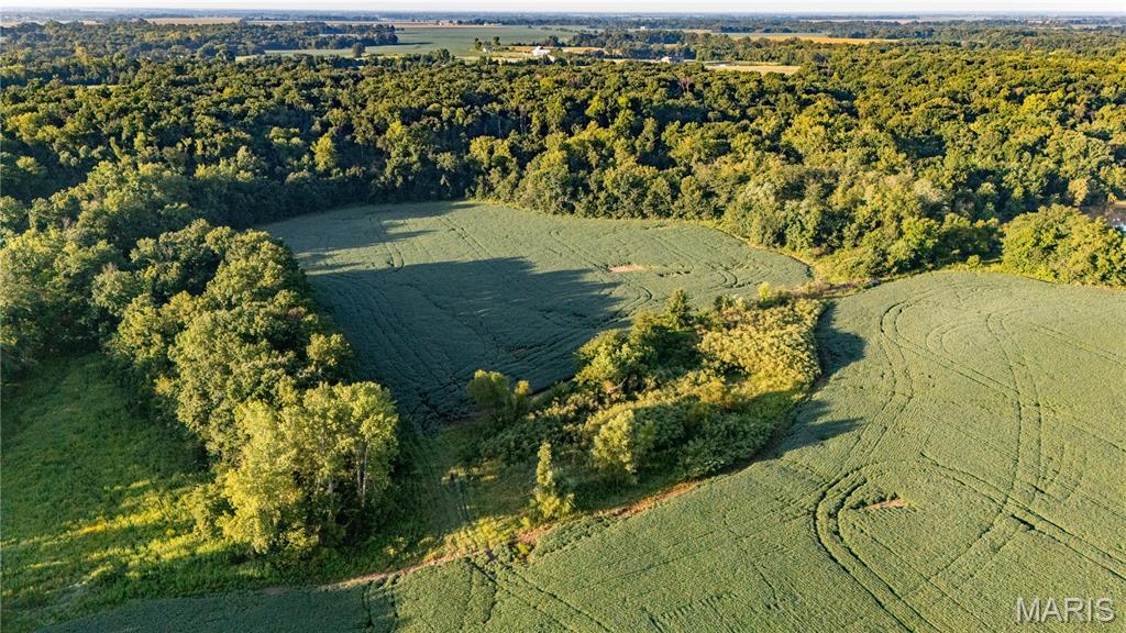 N/A - Farm