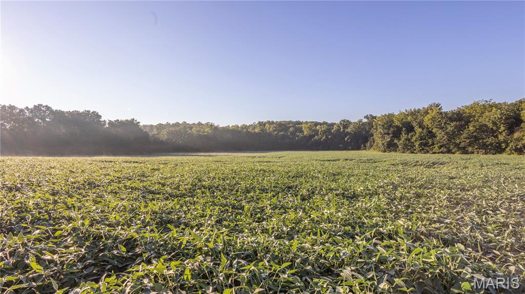 N/A - Farm