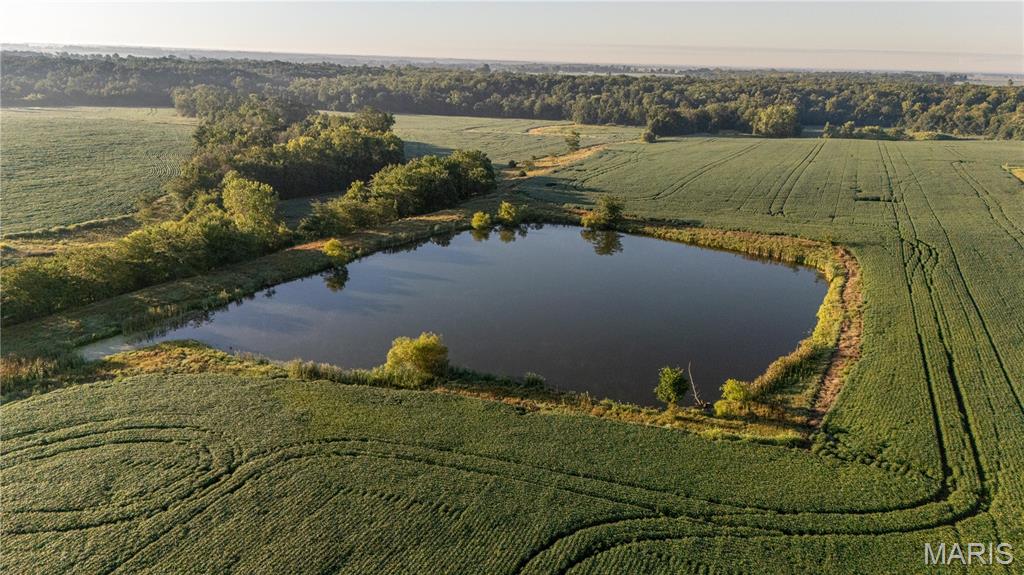 This 77.6-acre tract in Ralls County, Missouri, offers an excellent opportunity for both row crop operators and land investors. The property is made up of highly productive tillable acres with strong soils that have been well cared for and consistently farmed. Its open layout and gentle terrain make it easy to work, providing efficiency and reliable yields year after year. With convenient access from county roads, this farm is set up to continue as a strong producer and would be an excellent addition to an existing operation or a great start for someone looking to expand into farmland ownership. Smaller tracts of this quality are becoming increasingly difficult to find in northeast Missouri, and the size of this property makes it versatile for a wide range of buyers. Whether you are looking to add acres to your current farming business, secure a stable land investment, or simply own a piece of high-quality Missouri farmland, this property checks all the boxes. Ralls County is known for its productive soils and strong agricultural presence, and this farm fits right in with that reputation. Opportunities like this don’t come up often, and with its proven history of crop production, this 77.6-acre tract is a rare chance to invest in land that will continue to provide value for years to come.