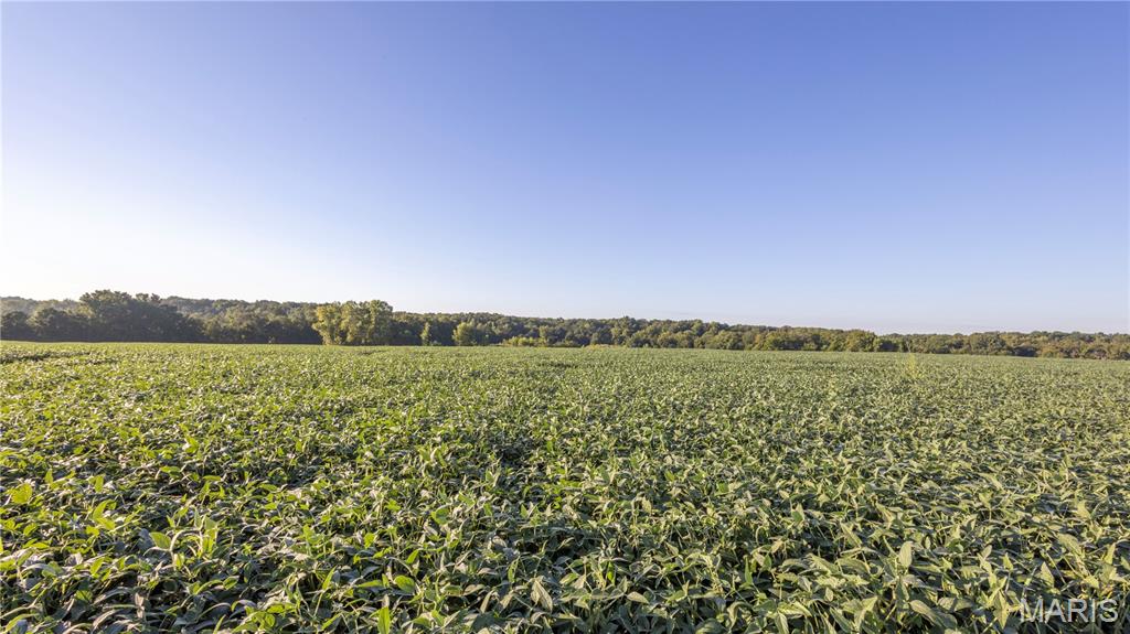 N/A - Farm